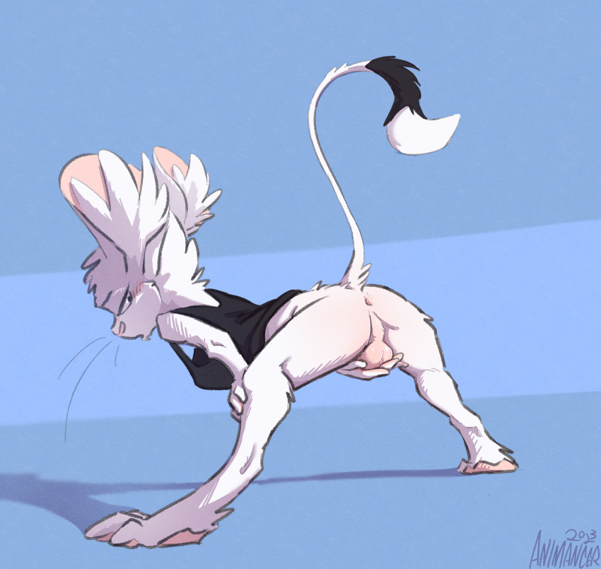 animancer anus april_fools backsack balls butt dipodid genitals hi_res jerboa luck_(animancer) male mammal raised_tail rodent tail