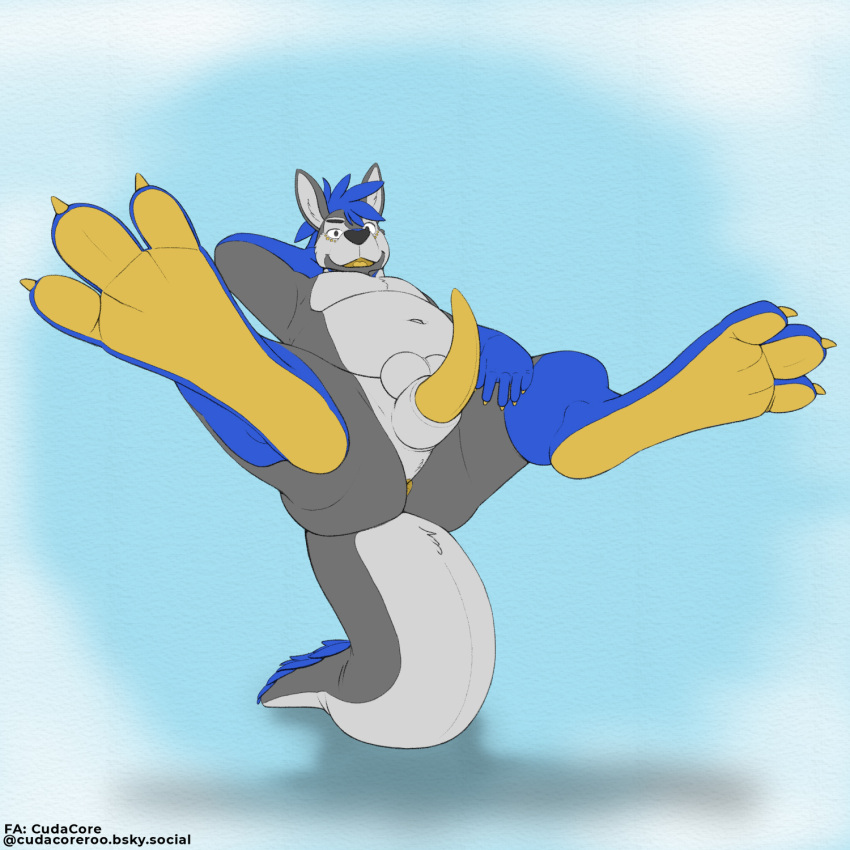 1:1 balls balls_on_top beau_(disambiguation) erection feet genitals hi_res kangaroo macropod male mammal marsupial mature_male musclegut navel paws penis sitting_on_tail slightly_chubby toes