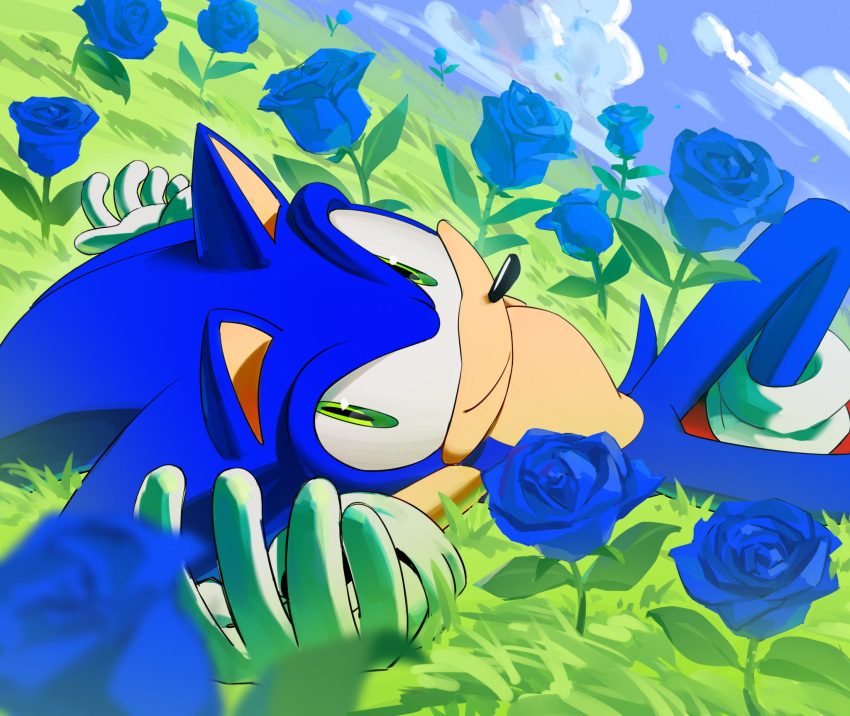 1boy blue_flower blue_rose chaosrice cloud flower gloves grass green_eyes hedgehog highres looking_at_viewer male_focus on_grass outdoors rose sky smile sonic_(series) sonic_the_hedgehog tail white_gloves