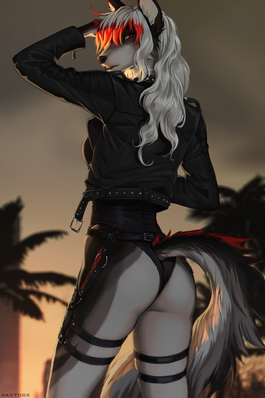 anthro biped butt canid canine clothing female hair hastogs hi_res jacket long_hair looking_back mammal palm_tree plant solo topwear tree