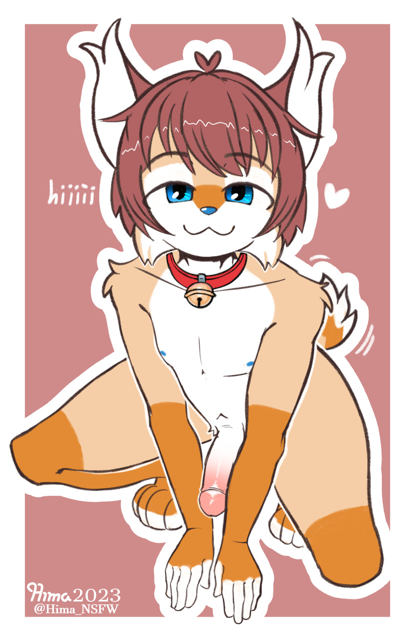 absurd_res ande_(hima_nsfw) anthro bell bell_collar blue_eyes brown_hair canid canine collar eyebrows felid feline fox fur genitals hair hands_on_floor hi_res hima_nsfw hybrid kneeling looking_at_viewer lynx male mammal narrowed_eyes orange_body orange_fur penis raised_eyebrows red_collar smile solo squint tail tail_motion tailwag tan_body tan_fur tuft white_body white_fur