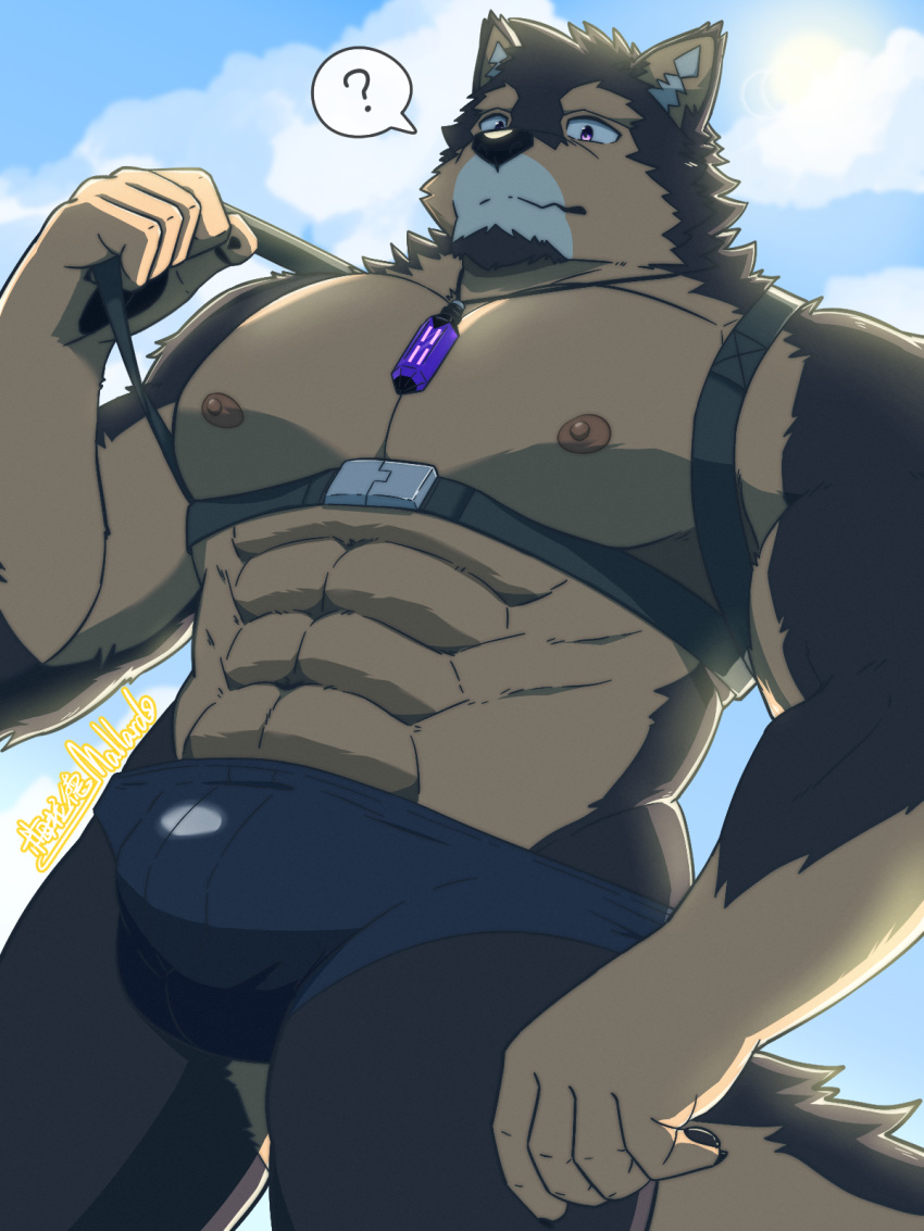 1boy ? abs alternate_costume animal_ears bara blue_male_swimwear brown_fur bulge chest_belt cloud cloudy_sky dog_boy dog_ears facial_hair feet_out_of_frame from_below furry furry_male goatee harness_pull highres jewelry large_pectorals live_a_hero looking_at_viewer male_focus male_swimwear mallards muscular muscular_male navel necklace nipples pectorals pubraseer_(live_a_hero) pulled_by_self short_hair sky solo spoken_question_mark stomach swim_briefs thick_eyebrows thick_thighs thighs topless_male two-tone_fur underbust