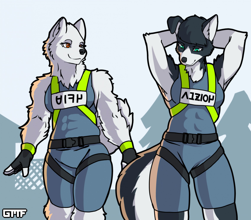 abs anthro border_collie canid canine canis collie domestic_dog duo female gasmaskfox harness herding_dog hi_res mammal nordic_sled_dog pastoral_dog red_eyes samoyed sheepdog sophia_(gasmaskfox) spitz teal_eyes vika_(gasmaskfox)