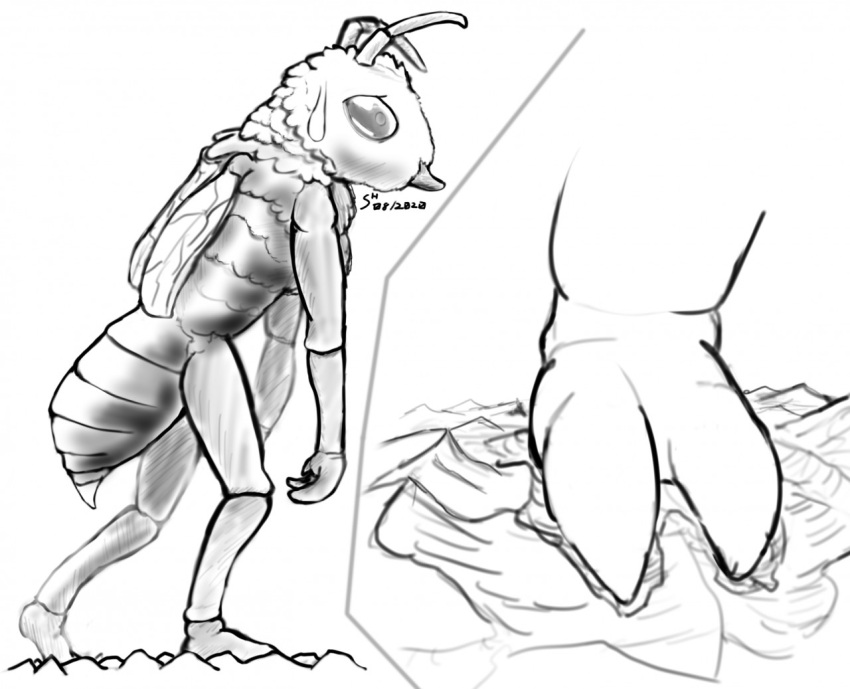 2020 2_toes 3_fingers antennae_(anatomy) anthro arthropod bee bodily_fluids compound_eyes crater crush cutaway dated destruction digital_drawing_(artwork) digital_media_(artwork) extreme_size_difference feet female fingers foot_crush foot_focus full-length_portrait giga hymenopteran insect landscape_dwarfing larger_anthro larger_female macro micro mountain mountain_range nude portrait shadowhide signature simple_background size_difference sketch solo stinger sweat sweatdrop toes walking wings