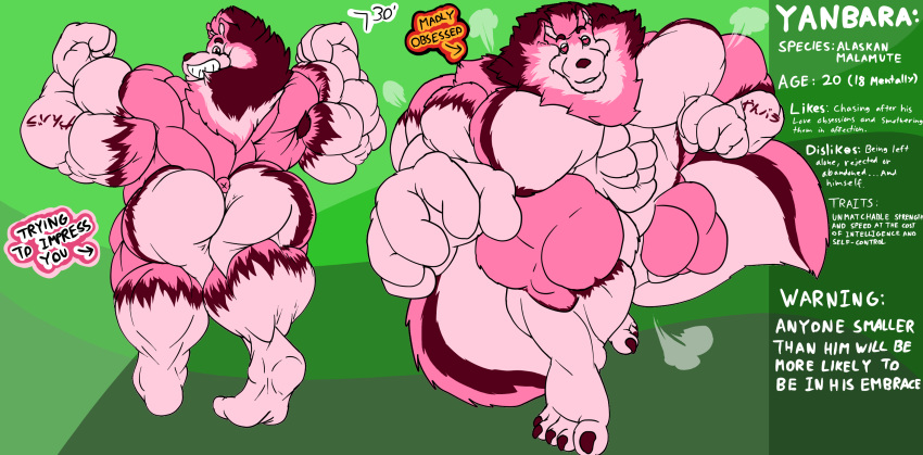 &lt;3 &lt;3_eyes 5_toes abs alaskan_malamute anthro barazoku barefoot biceps big_biceps big_butt big_muscles butt canid canine canis character_bio digital_media_(artwork) domestic_dog energetic english_text feet flexing flexing_biceps flexing_both_biceps flexing_muscles flexing_pec fluffy fluffy_tail fujiyama_samoyed_(artist) fur hair hi_res himbo huge_butt huge_muscles humanoid_feet hyper hyper_butt hyper_muscles looking_at_viewer male mammal model_sheet moobs muscular muscular_anthro muscular_male neck_tuft nordic_sled_dog nude null overjoyed pecs pink_body pink_fur pink_hair pink_nose plantigrade pointed_toes reaching_towards_viewer smile smiling_at_viewer soles solo spitz steam steaming_body tail text thick_thighs toes tuft yanbara_(fujiyamasamoyed)