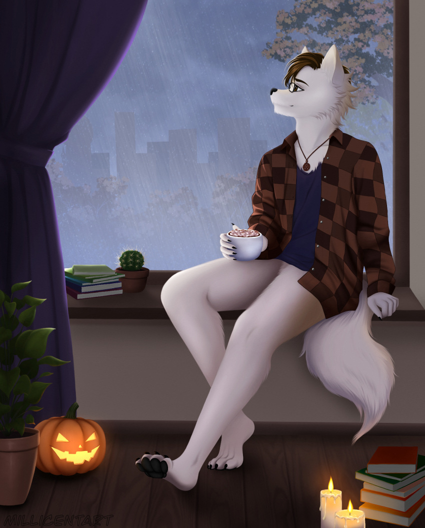 anthro beverage book bottomless bottomless_anthro bottomless_male cactus candle candy canid canine canis chocolate city city_background cityscape clothed clothing crotch_tuft curtains curtains_open dessert eyewear feet fingers food glasses hi_res hot_chocolate house_plant jack-o'-lantern jewelry male mammal millicentart necklace open_clothing open_shirt open_topwear plant raining sabbyth shirt solo solo_focus tail toes topwear tree tuft weather window window_seat wolf