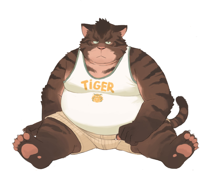 2023 absurd_res anthro belly big_belly bottomwear clothing feet felid hi_res humanoid_hands huynhduyad14 kemono male mammal overweight overweight_male pantherine shirt shorts sitting solo tiger topwear