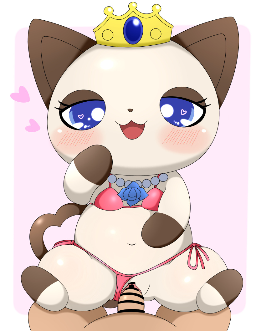 &lt;3 &lt;3_eyes 2023 absurd_res anthro anthro_penetrated azuo bikini bikini_aside blue_eyes blush border brown_body brown_fur censor_bar censored clothing clothing_aside cowgirl_position crown domestic_cat duo felid feline felis female female_penetrated first_person_view from_front_position fur genitals headgear hi_res human human_on_anthro human_penetrating human_penetrating_anthro human_pov humanoid_genitalia humanoid_penis interspecies jewelpet jewelry kaiya_(jewelpet) male male/female male_penetrating male_penetrating_female mammal multicolored_body multicolored_fur necklace on_bottom on_top penetrating_pov penetration penile penile_penetration penis penis_in_pussy pink_background pussy sanrio semi-anthro sex simple_background swimwear swimwear_aside two_tone_body two_tone_fur vaginal vaginal_penetration white_border