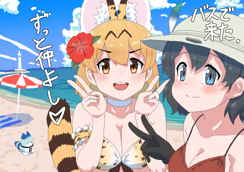 2girls absurdres adapted_costume animal_ears beach bikini black_gloves black_hair blonde_hair blue_eyes blush cat_ears cat_girl cat_tail choker commentary_request double_v extra_ears flower gloves hair_flower hair_ornament hat_feather helmet highres kaban_(kemono_friends) kemono_friends kumasyan1998 looking_at_viewer lucky_beast_(kemono_friends) multiple_girls ocean pith_helmet print_bikini red_bikini sand serval_(kemono_friends) serval_print short_hair swimsuit tail translation_request v white_choker yellow_eyes