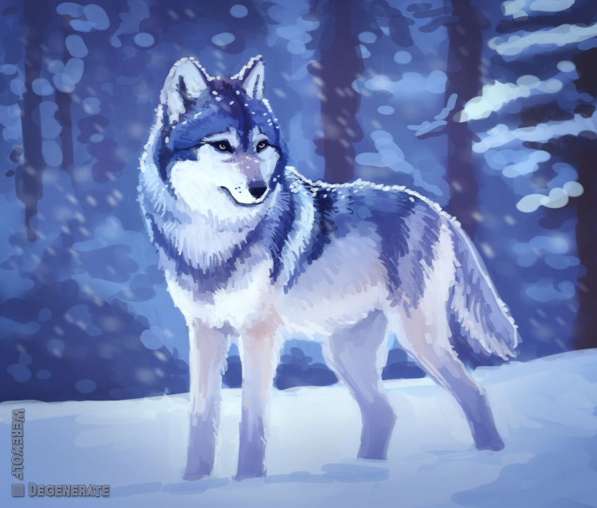 ambiguous_gender black_nose blue_body blue_fur canid canine canis cool_colors detailed_background digital_media_(artwork) english_text feral forest full-length_portrait fur grey_body grey_fur hi_res looking_away mammal multicolored_body multicolored_fur outside plant portrait quadruped signature snow snowing solo standing text tree werewolfdegenerate white_body white_fur winter wolf