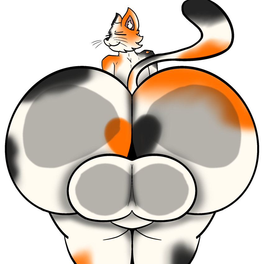 2023 against_surface alpha_channel anthro backsack balls big_balls big_butt black_body black_fur butt butt_to_viewer calico_cat domestic_cat eyes_closed felid feline felis fur genitals hi_res huge_butt hyper hyper_butt jelly_jam looking_at_viewer looking_back low-angle_view male mammal marcel_(scoobie62) narrowed_eyes nude on_glass orange_body orange_fur outline pink_inner_ear rear_view simple_background solo solo_focus thick_thighs thighs_together transparent_background white_body white_fur white_outline