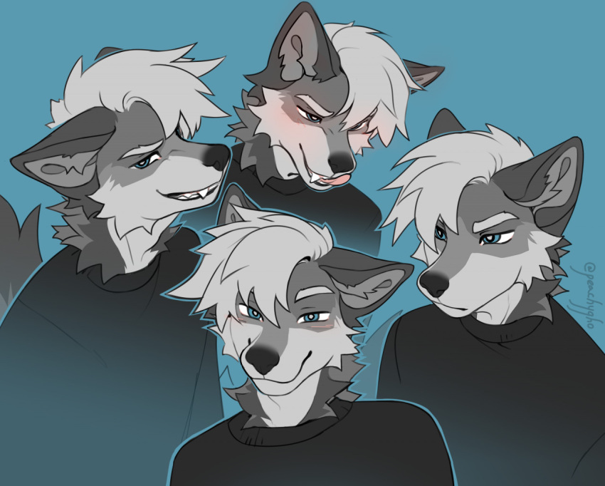 anthro black_clothing black_nose black_shirt black_topwear blue_background blue_eyes canid canine canis clothing front_view fur grey_body grey_ears grey_fur grey_tail hair licking licking_lips licking_own_lips looking_at_viewer male mammal multiple_angles narrowed_eyes neck_tuft peachygho ryew0lf shirt side_view simple_background smile smirk solo teeth tongue tongue_out topwear tuft white_body white_fur white_hair wolf