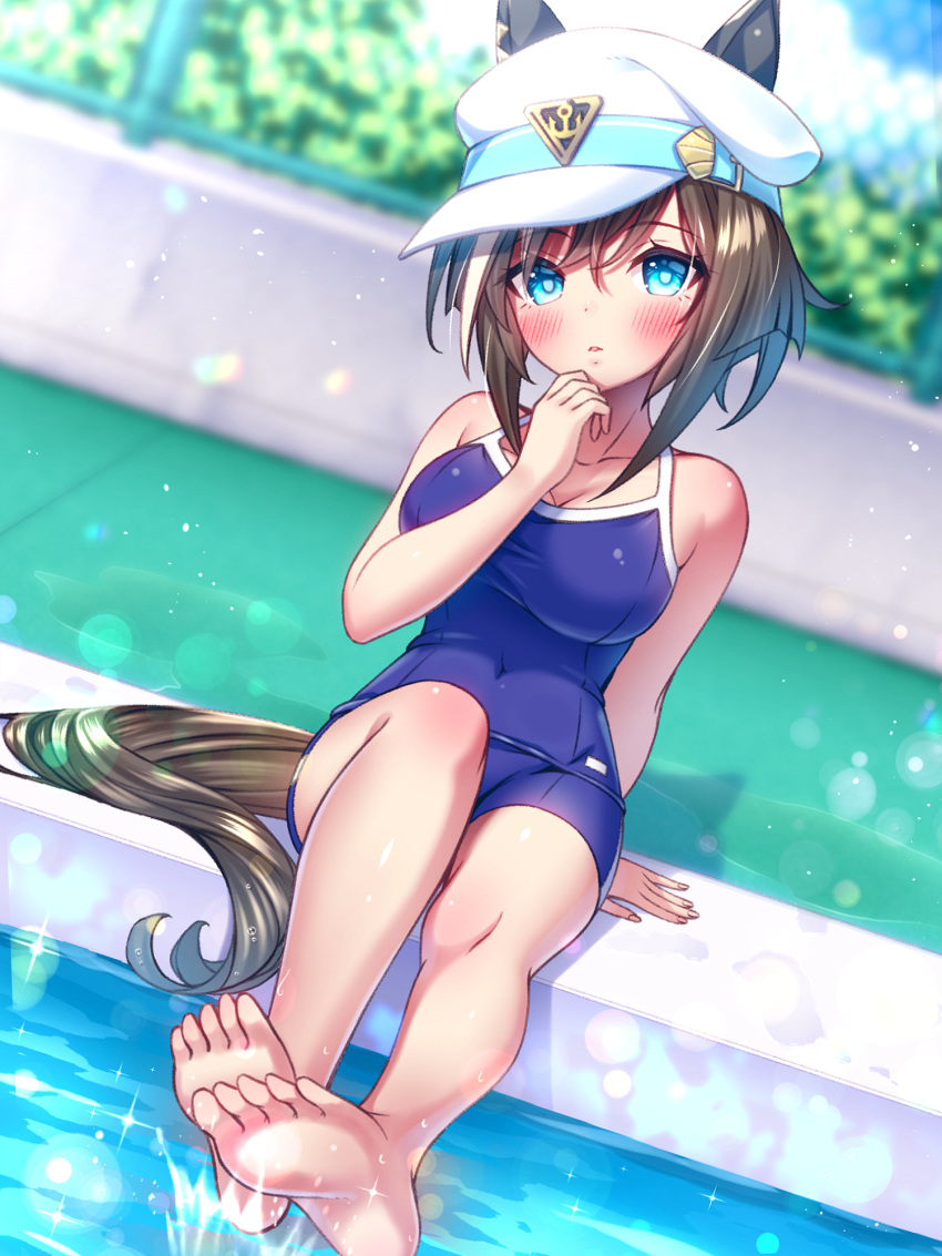 1girl alternate_costume animal_ears barefoot blue_eyes blue_one-piece_swimsuit blurry blurry_background blush breasts brown_hair cheval_grand_(umamusume) cleavage closed_mouth collarbone commentary_request competition_school_swimsuit competition_swimsuit hat highres horse_ears horse_girl looking_at_viewer medium_breasts medium_hair one-piece_swimsuit pool school_swimsuit sitting soles solo sugimotty_nova swimsuit tail tracen_swimsuit umamusume