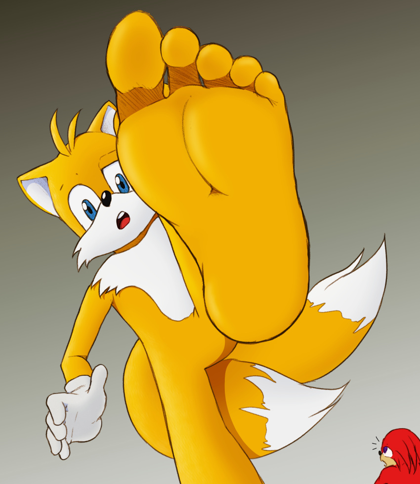 absurd_res anthro awkwardtroglodyte canid canine clothing countershading duo echidna extreme_size_difference feet feetymcfoot foot_focus fox fur gloves gradient_background grey_background handwear hi_res humanoid_feet knuckles_the_echidna macro_focus male mammal miles_prower monotreme plantigrade red_body red_fur sega simple_background size_difference soles sonic_the_hedgehog_(series) white_body white_clothing white_countershading white_gloves white_handwear yellow_body yellow_fur