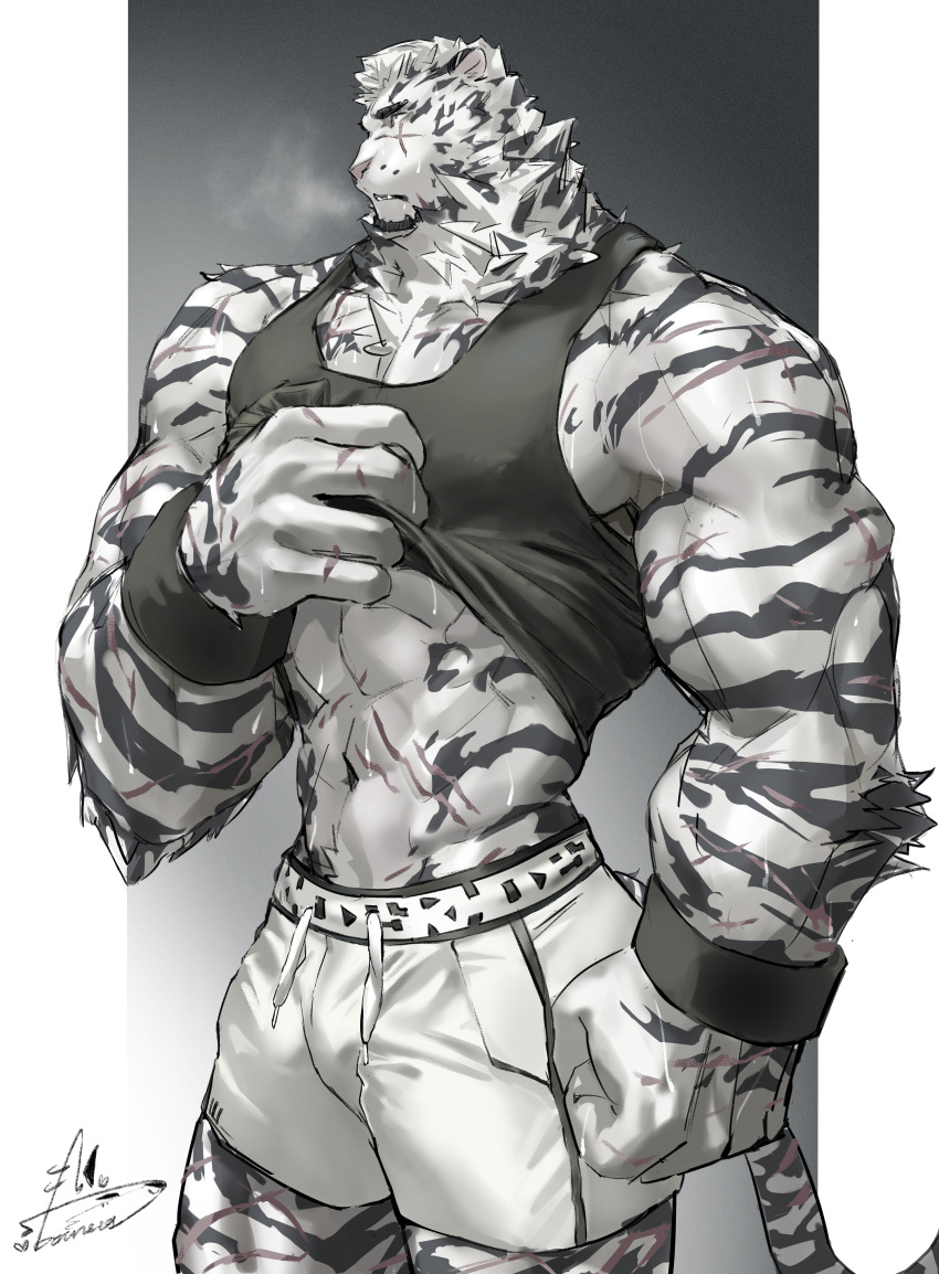 1boy abs absurdres animal_ears arknights bara bare_arms bounsies breath bulge clothes_lift covered_nipples cuffs feet_out_of_frame furry furry_male handcuffs highres large_hands large_pectorals lifted_by_self male_focus mature_male mountain_(arknights) muscular muscular_male navel pectorals scar scar_on_arm scar_on_leg scar_on_stomach shirt_lift short_hair shorts solo standing stomach sweat tiger_boy tiger_ears white_fur white_shorts