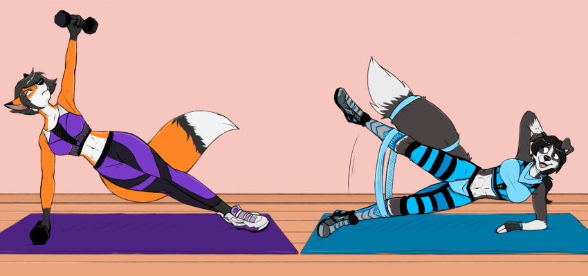 abs anthro athletic athletic_female bronx23 canid canine canis cassie-draws chloe_(abananaman) domestic_dog duo exercise female fox hi_res mammal rosaline_(bronx23) weights workout