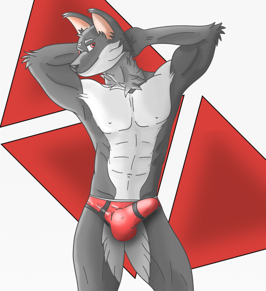 abs anthro biped bulge canid canine canis clothed clothing fur grey_body grey_fur hi_res looking_at_viewer male mammal muscular muscular_anthro muscular_male simple_background solo underwear white_body white_fur wolf xzenonart