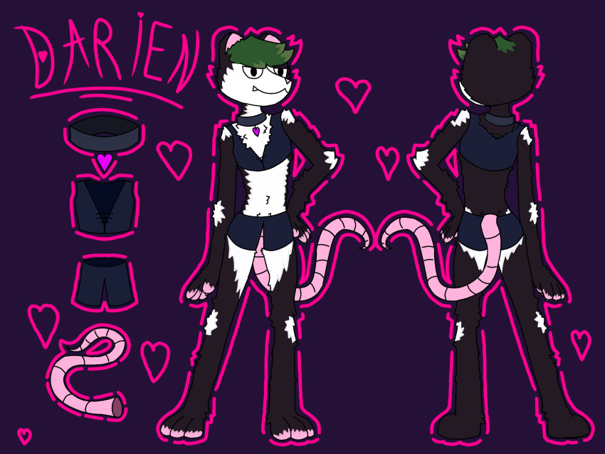 &lt;3 4:3 anthro clothed clothing collar darien_(mors) girly green_hair hair heart_collar hi_res male mammal marsupial model_sheet mors possum reference_image skimpy