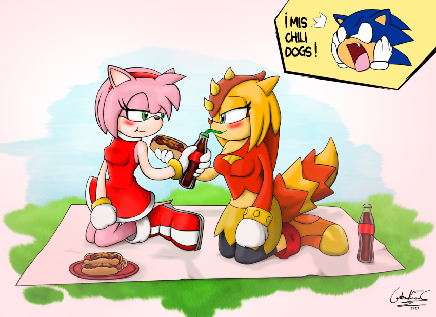 amy_rose anthro breasts clothing coca-cola duo eulipotyphlan female food grass_field hedgehog hi_res hot_dog lizard mammal overlord_gabriel pink_body reptile ruborised scalie sega smile soda_bottle solo sonic_superstars sonic_the_hedgehog_(series) spanish_text sungazer_(lizard) text trip_the_sungazer