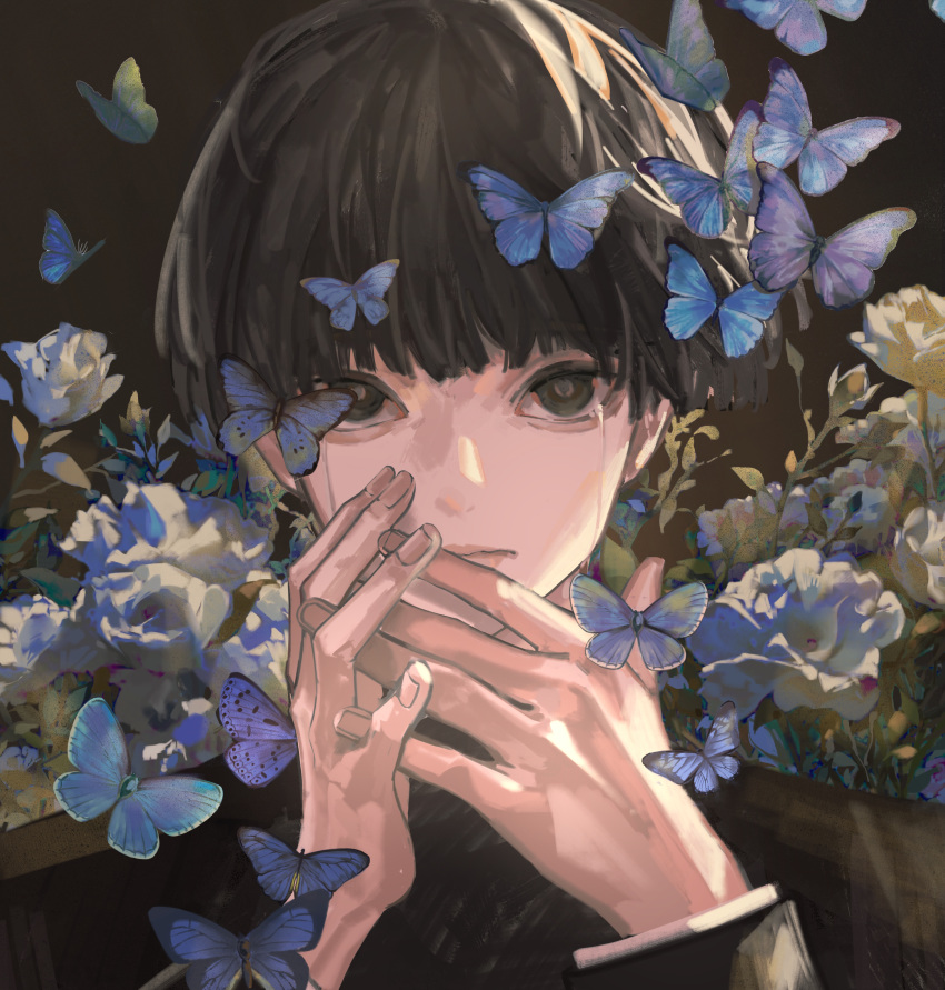 1boy absurdres black_background black_eyes black_hair blue_butterfly blunt_bangs bowl_cut bug butterfly closed_mouth crying crying_with_eyes_open flower gakuran highres jacket jiaotang_xiaodoudou kageyama_shigeo long_sleeves looking_at_viewer male_focus mob_psycho_100 portrait rose school_uniform short_hair solo streaming_tears tears white_flower white_rose