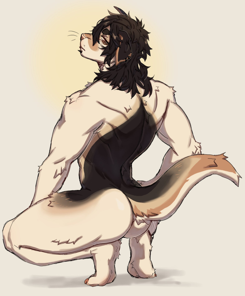 2023 anthro athletic athletic_anthro athletic_male brown_body brown_fur brown_hair butt chin_piercing fur hair hi_res kasusei long_hair looking_back male mammal multicolored_body multicolored_fur nude sei_kasu simple_background solo tail