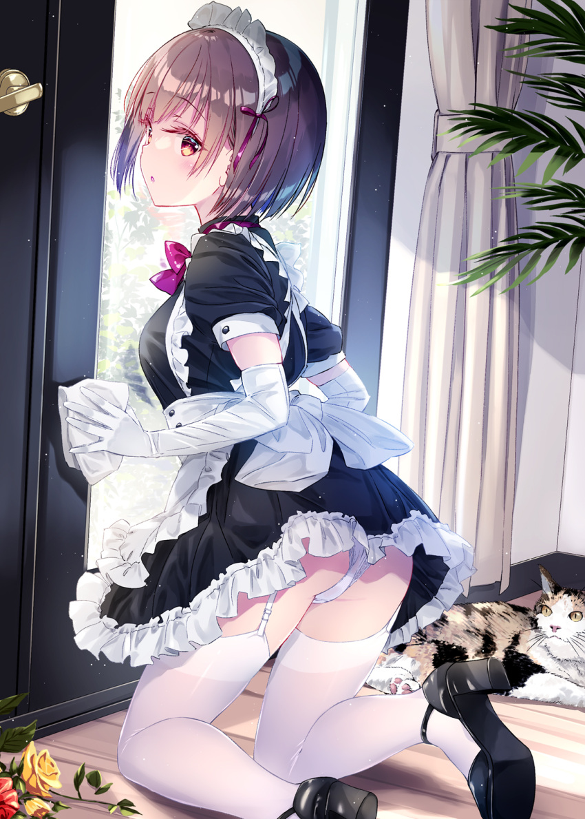 1girl :o animal apron black_dress black_footwear blush bob_cut brown_eyes brown_hair cat commentary_request curtains day dress elbow_gloves flower frilled_dress frills garter_straps gloves high_heels highres indoors kneeling kobayashi_chisato looking_at_viewer maid maid_apron maid_headdress original panties pantyshot plant puffy_short_sleeves puffy_sleeves rose short_hair short_sleeves solo sunlight thighhighs turning_head underwear white_apron white_gloves white_panties white_thighhighs wooden_floor yellow_flower yellow_rose