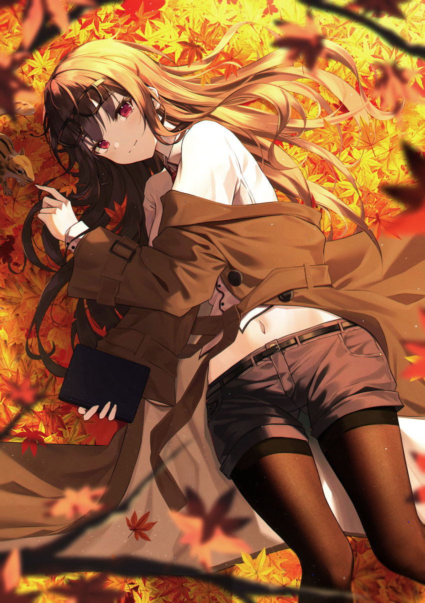 1girl absurdres animal autumn_leaves belt black-framed_eyewear black_belt black_hair black_pantyhose blurry blurry_foreground book brown_coat closed_mouth coat collar collared_shirt commentary_request denim denim_shorts eyewear_on_head falling_leaves floating_hair glasses highres holding holding_book hyonee leaf long_hair looking_at_viewer lying navel on_side open_clothes open_coat original pantyhose red_eyes shirt shorts smile squirrel thighband_pantyhose white_collar white_shirt