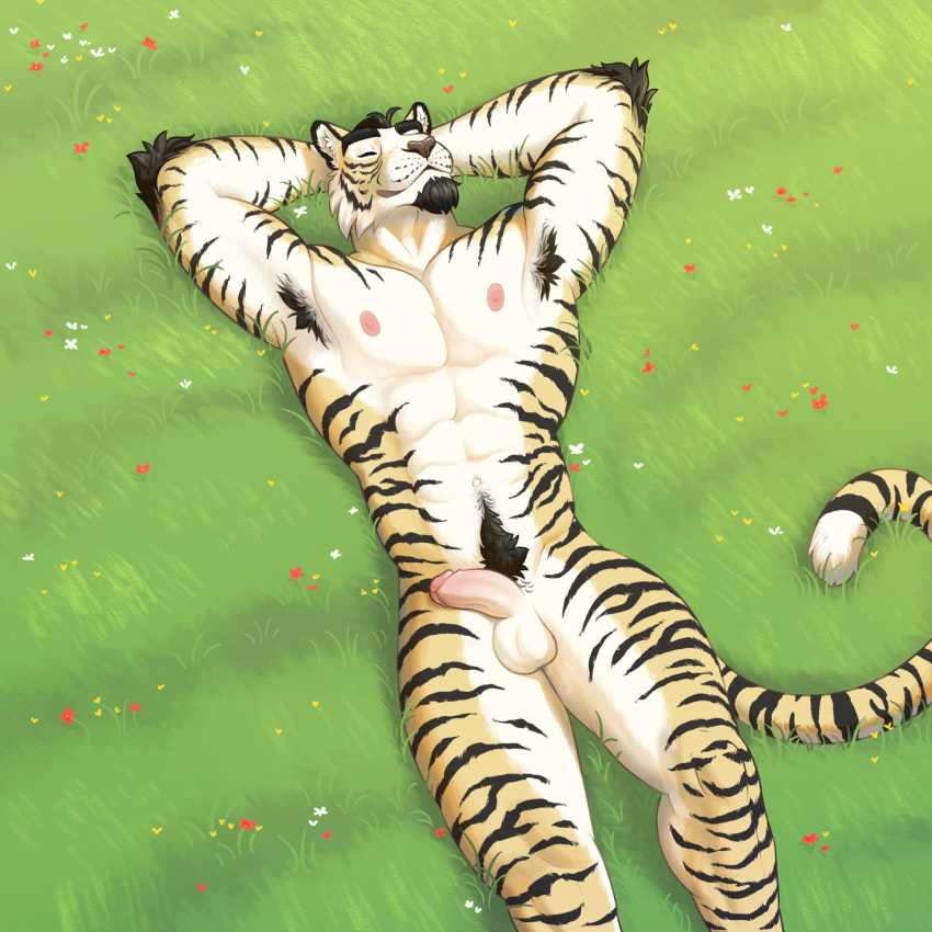 abs anthro balls casual_nudity felid flower fur genitals grass hi_res humanoid_genitalia humanoid_penis hybrid ibero liger lion lying lying_on_grass lying_on_ground male mammal meadow muscular muscular_anthro muscular_male nature nature_background nipples nude orange_body outdoor_nudity outside pantherine pecs penis plant smile solo stripes tail tiger