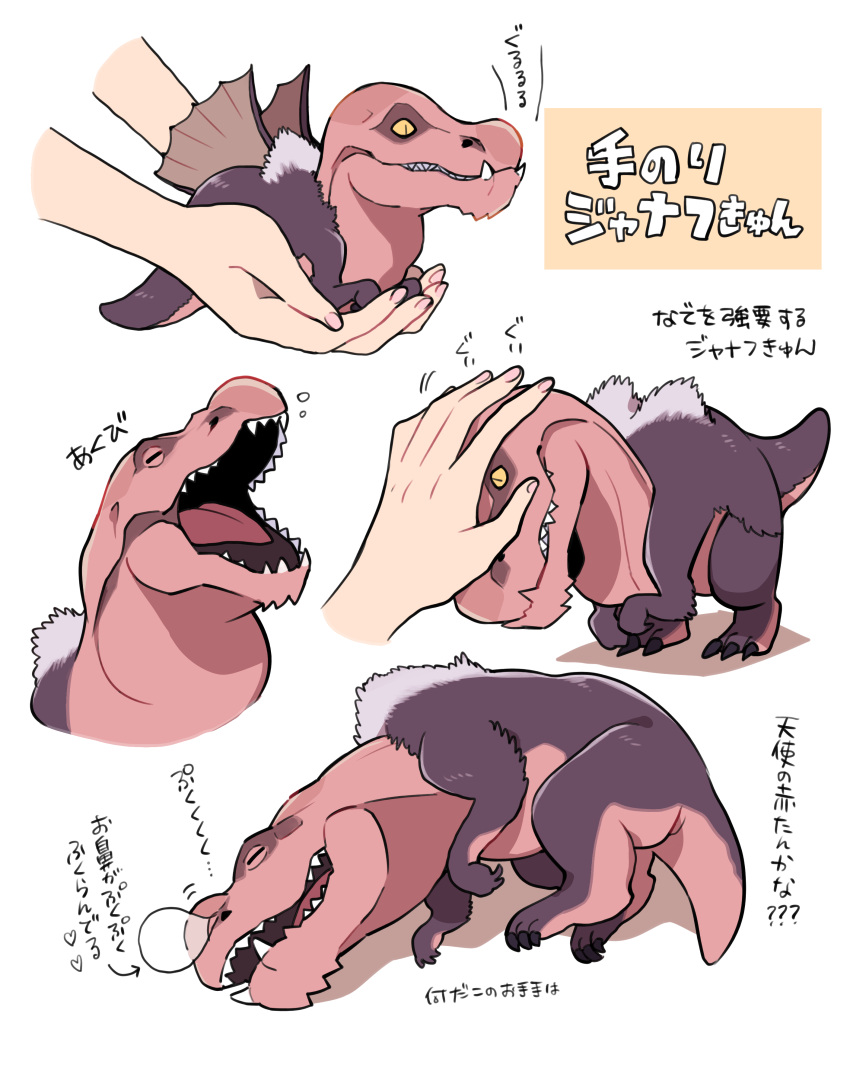 absurdres animal animal_focus anjanath body_fur carrying claws closed_eyes closed_mouth colored_sclera curled_up dinosaur full_body grey_fur headpat highres holding holding_animal ikuchi_osutega in_palm lying minimized monster_hunter_(series) multiple_views nose_bubble on_side open_mouth out_of_frame petting sharp_teeth simple_background size_difference sleeping slit_pupils snoring sound_effects teeth tongue translation_request tyrannosaurus_rex white_background yawning yellow_eyes yellow_sclera