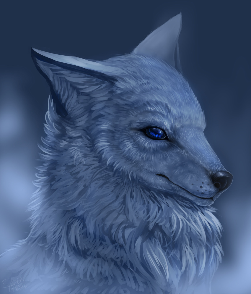 2015 ambiguous_gender black_nose blue_eyes canid canine canis detailed detailed_fur ezpups feral fluffy fur grey_body grey_fur headshot_portrait hi_res inner_ear_fluff mammal neck_tuft portrait prick_ears realistic snout solo tuft whisker_spots wolf