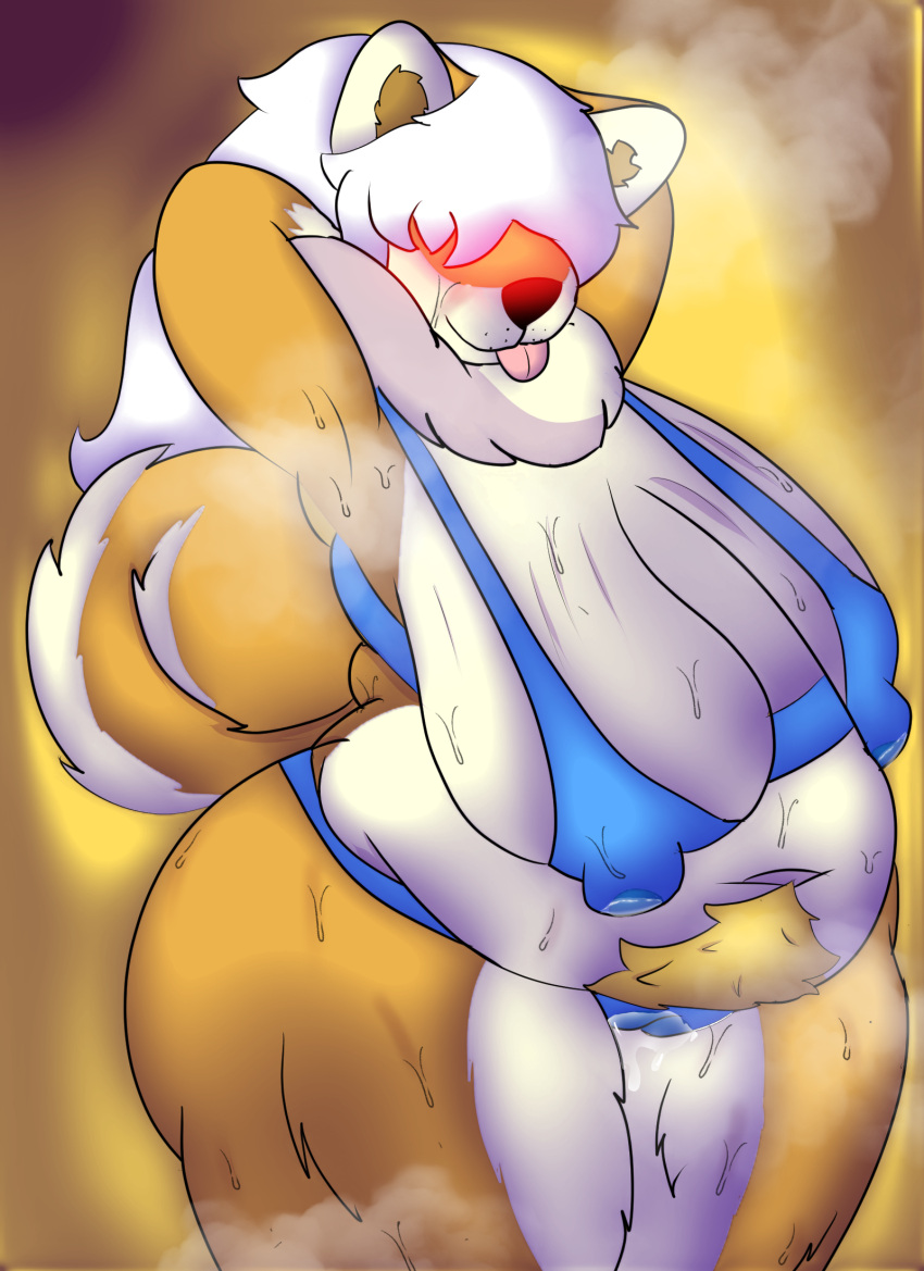 anthro belly big_belly big_breasts big_butt big_nipples blush bodily_fluids bra breasts butt canid canine canis clothing curled_tail domestic_dog female fluffy fluffy_tail frenchybaguette fur genital_fluids hair hair_over_eyes hands_behind_head hi_res long_hair mammal multicolored_body multicolored_fur musk musk_clouds navel neck_tuft nipples overweight overweight_female panties pubes pussy_juice sagging_breasts shiba_inu solo spitz sweat sweaty_armpit sweaty_breasts sweaty_legs tail thick_thighs tongue tongue_out tuft two_tone_body two_tone_fur underwear wet wet_clothing white_hair