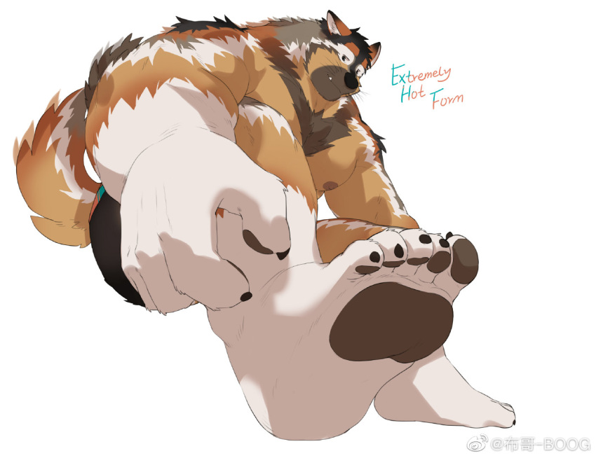 1boy animal_ear_fluff animal_ears bara black_fur boogbogex brown_eyes brown_fur character_name chest_hair dog_boy dog_ears english_text feet foreshortening full_body furry furry_male haki_(boogbogex) large_pectorals looking_at_viewer male_focus muscular muscular_male nipples orange_fur original pectorals shoes short_hair shorts sneakers soles solo thick_eyebrows toes topless_male whiskers white_fur
