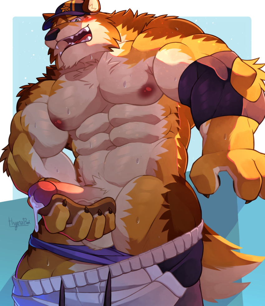 abs anthro balls barrel_(live_a_hero) blush bodily_fluids bottomwear canid canine canis clothed clothing erection genital_fluids genitals hi_res hot_dog_bun hyenaboi_(artist) lifewonders live_a_hero male mammal muscular muscular_anthro muscular_male nipples partially_clothed pecs penis precum shorts shorts_down solo sweat underwear underwear_down wolf