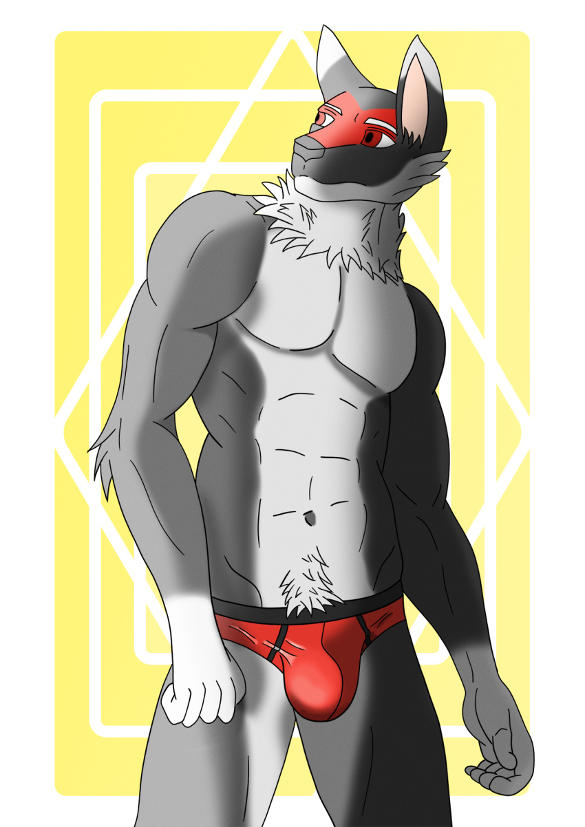 abs anthro biped black_body black_fur bulge canid canine canis clothed clothing fur hi_res humanoid male mammal muscular muscular_anthro muscular_male red_body red_clothing red_fur red_underwear roos_(xzenonart) simple_background solo underwear white_body white_fur wolf xzenonart