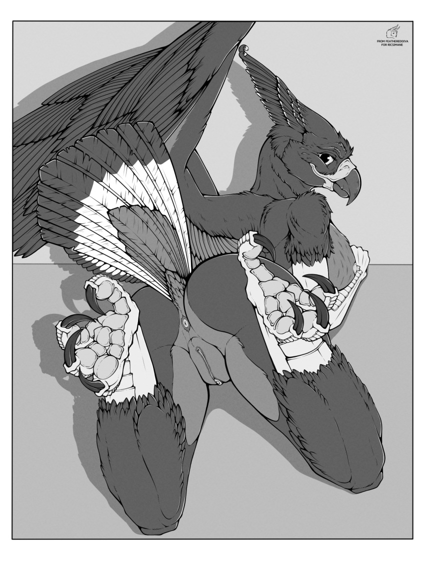 2023 animal_humanoid anthro anus arm_scales avian avian_humanoid bed big_breasts big_butt bird bird_humanoid breasts butt claws digital_drawing_(artwork) digital_media_(artwork) feathered_diva feathers feet female furniture genitals hi_res humanoid long_tail lying monochrome mythology nipple_fetish nipple_outline nipples on_bed on_bottom on_ground on_top presenting presenting_breasts presenting_nipple presenting_pussy pussy ricksimane sketch smile smiling_at_viewer solo spread_anus spread_arms spread_butt spread_legs spread_pussy spread_toes spread_wings spreading tail tail_feathers toes wings xilia