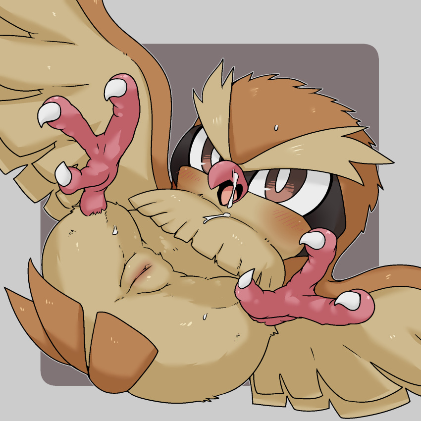 avian avian_feet beak bird blush bodily_fluids brown_body brown_feathers clitoris cum cum_drip cum_on_face doneru dripping feathered_wings feathers female feral generation_1_pokemon genital_fluids genitals hi_res looking_at_viewer lying nintendo on_back pidgey pokemon pokemon_(species) pussy simple_background solo spread_legs spread_wings spreading tail talons tan_body tan_feathers wings