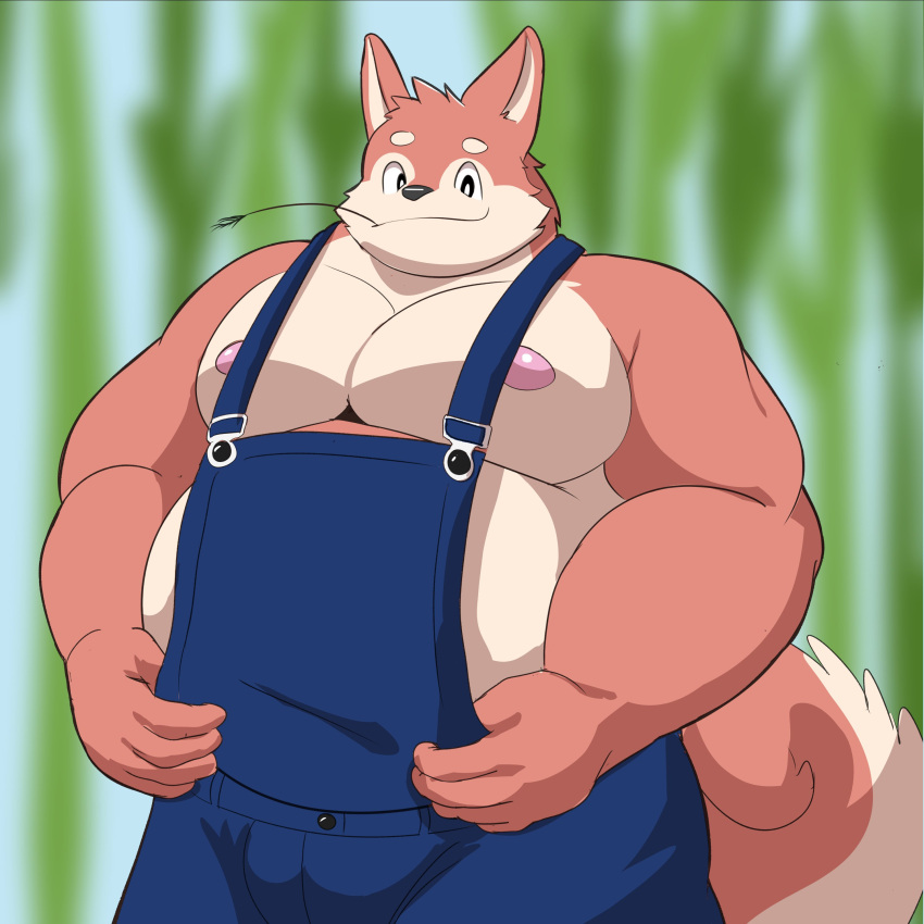 2023 absurd_res anthro canid canine canis clothing domestic_dog farmer hi_res humanoid_hands kemono korouxus male mammal musclegut nipples overalls solo