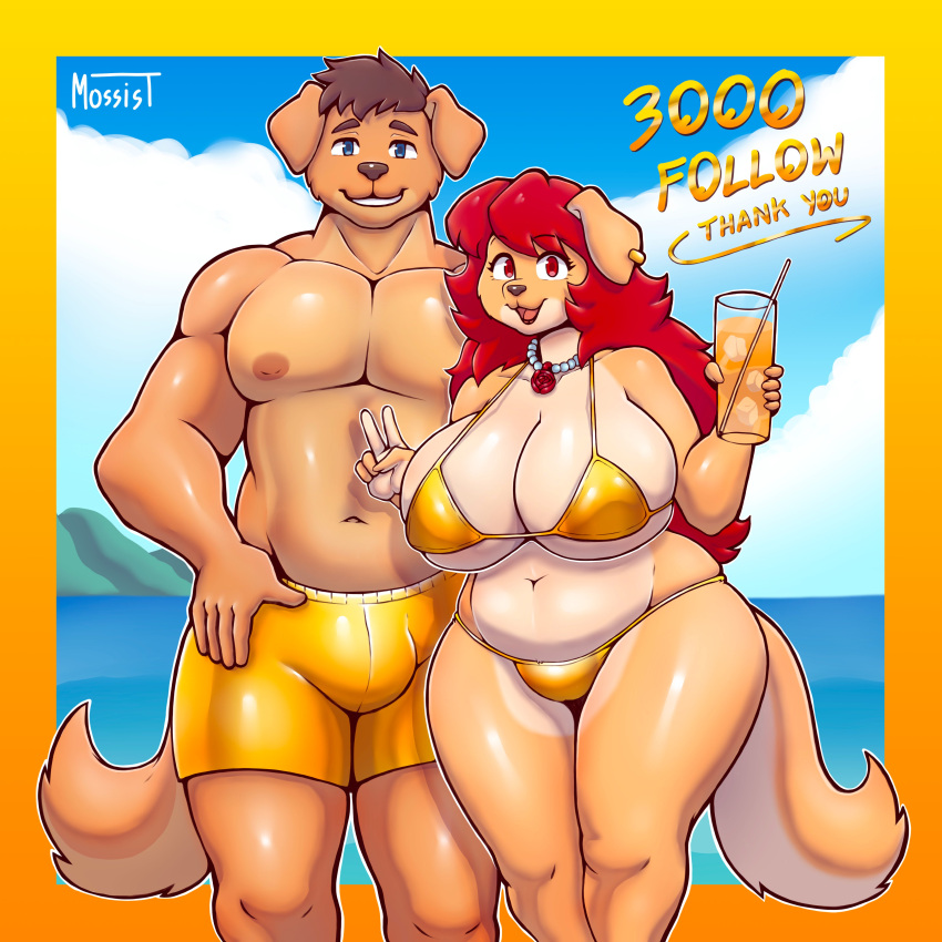 absurd_res beach beverage big_breasts breasts bulge canid canine clothing curvy_figure duo ear_piercing ear_ring female gesture gold_bikini hair hi_res jewelry male mammal mature_female mossist muscular muscular_male necklace piercing red_eyes red_hair ring_piercing rosy_(mossist) seaside signature smile swimming_trunks swimwear v_sign voluptuous