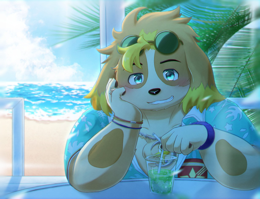 aloha_shirt anthro beach beach_umbrella beverage blush canid canine canis clothing domestic_dog eyewear floppy_ears grin hi_res hisaki_(live_a_hero) lifewonders live_a_hero looking_at_viewer male mammal pattern_clothing pattern_shirt pattern_topwear pyrethrin_12 sea seaside shirt smile sunglasses topwear umbrella water