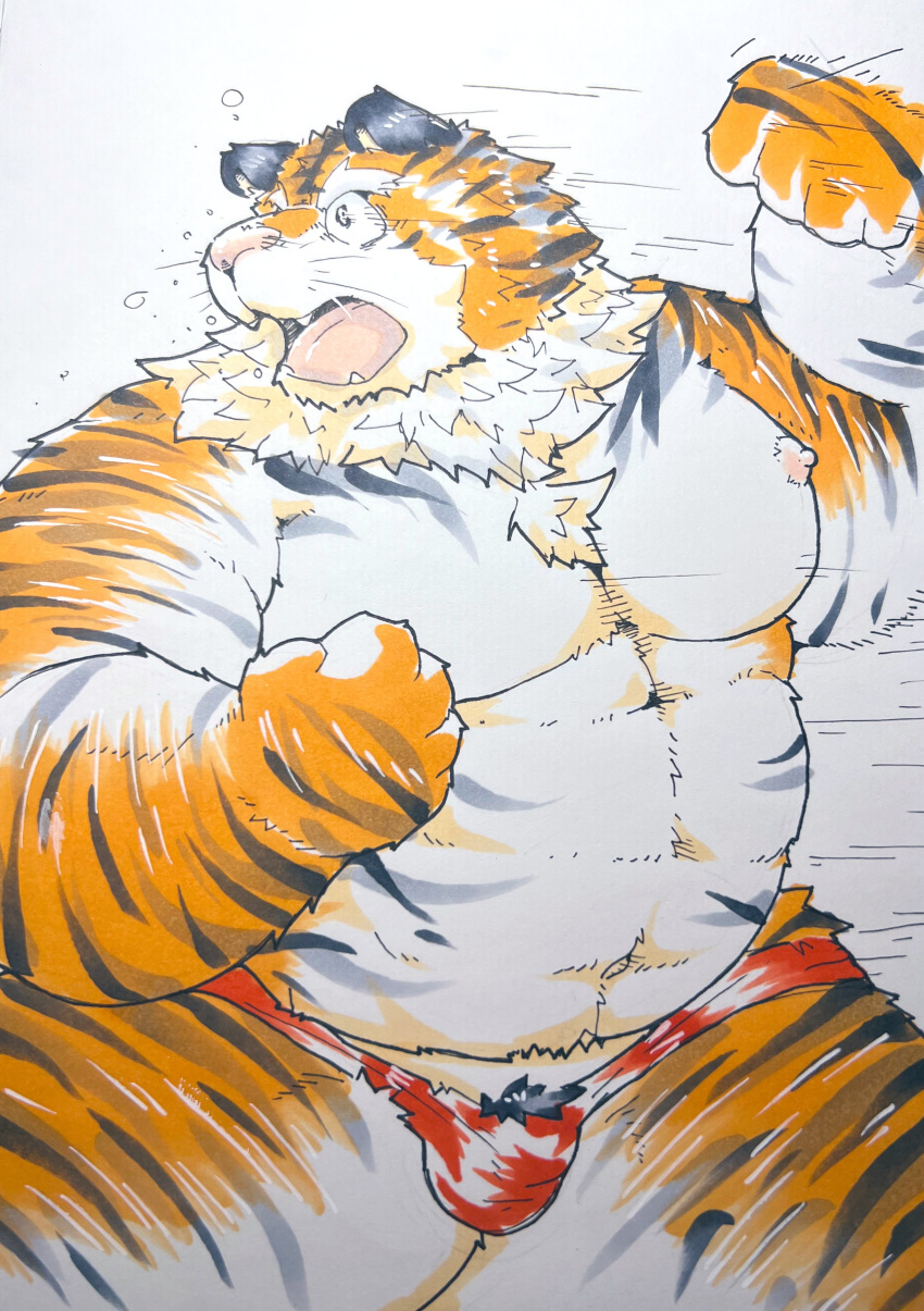 2023 absurd_res anthro belly bulge clothing felid hi_res humanoid_hands kemono male mammal moobs nipples overweight overweight_male pantherine pink_nose solo suishou0602 tiger underwear