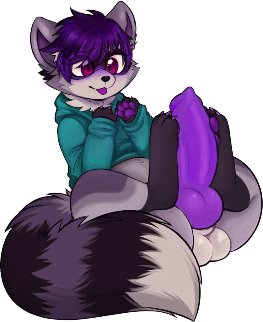 anthro balls clothing embarrassed erection footwear fur genitals grey_body grey_fur hair hi_res hoodie knot male mammal markings panigity pawpads penis pitayapunch procyonid purple_body purple_eyes purple_fur purple_hair purple_pawpads purple_penis raccoon seductive solo striped_markings striped_tail stripes tail tail_markings tapering_penis text thick_thighs topwear