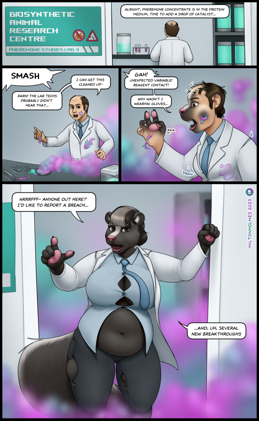 anthro balding beaker belly big_breasts bottomwear breasts clothing coat comic dialogue female gender_transformation hi_res human human_to_anthro lab_coat laboratory_equipment laboratory_glassware male mammal mephitid miltonholmes mtf_transformation necktie pants pawpads scientific_instrument skunk smoke solo species_transformation straining_buttons surprise thick_thighs topwear torn_bottomwear torn_clothing torn_pants transformation weight_gain