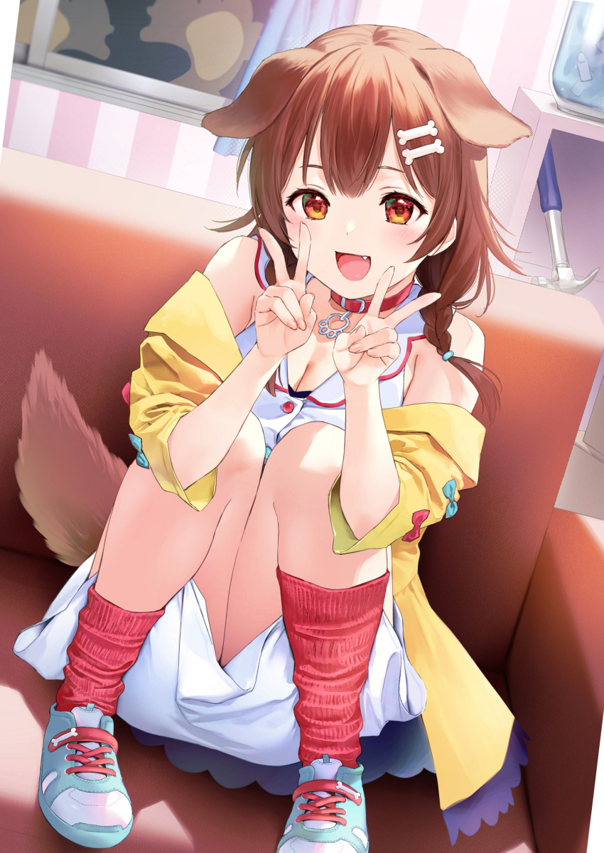 1girl absurdres animal_collar animal_ears blush bone_hair_ornament braid breasts brown_eyes brown_hair cleavage collar convenient_skirt couch curtains dog_ears dog_girl dog_tail double_v fang hair_ornament hammer highres hololive hugging_own_legs indoors inugami_korone inugami_korone_(1st_costume) jacket looking_at_viewer medium_breasts off_shoulder open_mouth red_collar red_socks shoes sitting socks solo tail twin_braids umakuchi_shouyu v virtual_youtuber window yellow_jacket
