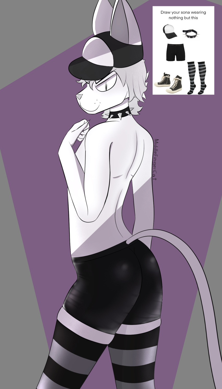 anthro butt cat_(middlefingercat) choker clothing collar domestic_cat felid feline felis girly hat headgear headwear hi_res jewelry legwear male mammal middlefingercat necklace shirtless solo stockings tail underwear