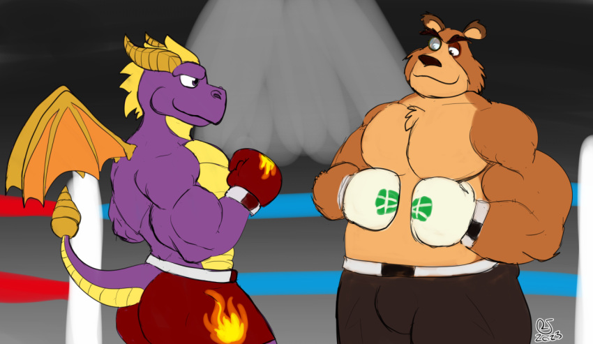 activision anthro anthrofied bear black_bottomwear black_clothing black_shorts bottomwear boxing boxing_gloves brown_body brown_fur caseyljones clothing dragon eyewear fur handwear male mammal moneybags_(spyro) monocle musclegut muscular overweight purple_body red_bottomwear red_boxing_gloves red_clothing red_handwear red_shorts shorts sport spyro spyro_the_dragon white_boxing_gloves white_clothing white_handwear