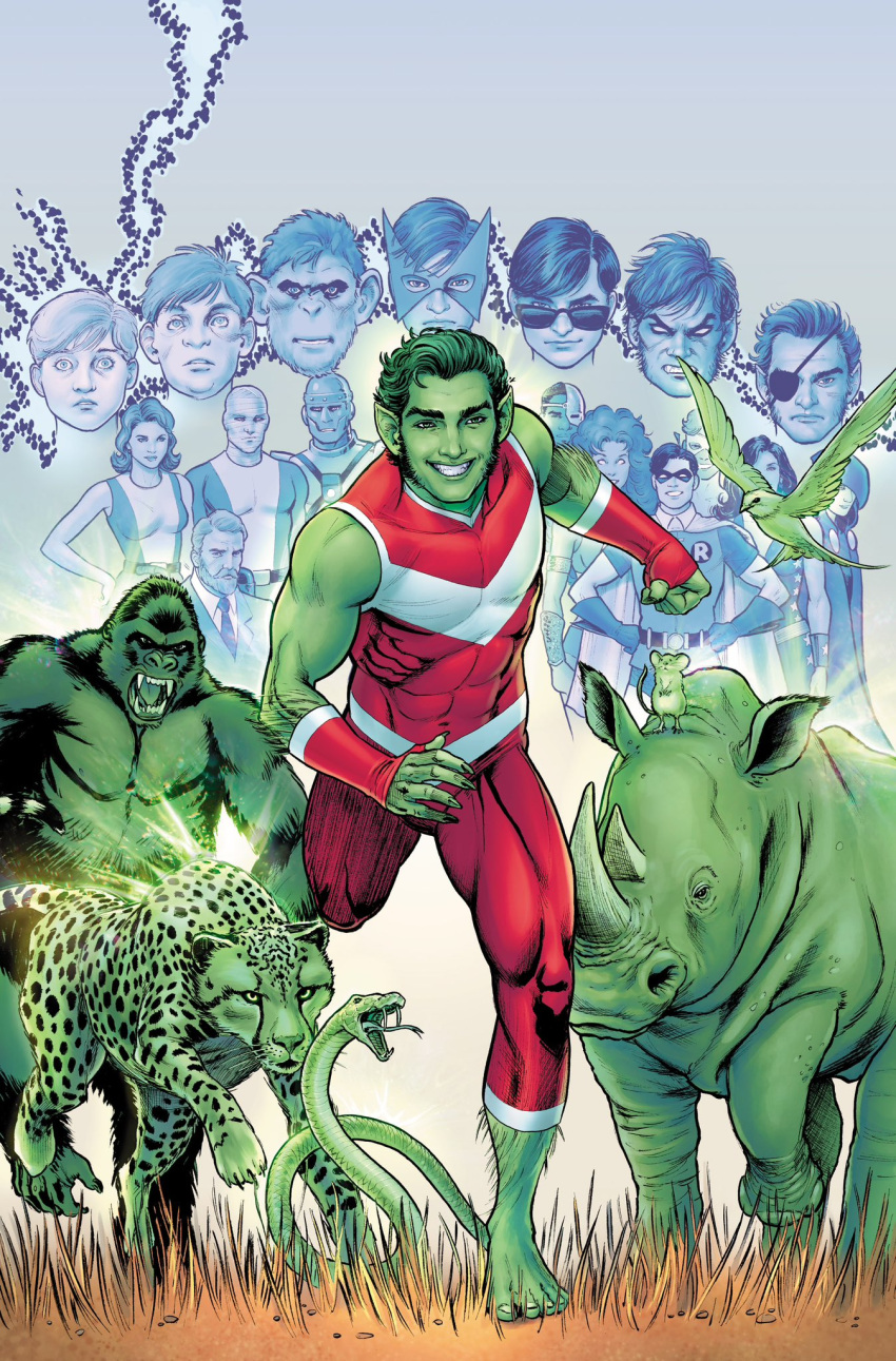 4girls 6+boys ape beast_boy_(dc) cheetah colored_skin cyborg_(dc) dc_comics dick_grayson doom_patrol_(dc) elastigirl english_commentary full_body green_skin highres male_focus mouse multiple_boys multiple_girls nicolascottart raven_(dc) rhinoceros robin_(dc) short_hair snake solo solo_focus starfire superhero teen_titans teeth wonder_woman