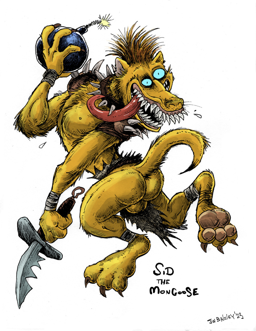 anthro backsack balls blue_eyes bomb bottomwear brown_hair butt claws clothing explosives fur genitals hair herpestid hi_res jwbalsley knife lit_fuse loincloth long_tongue male mammal mongoose pawpads pecs sharp_claws sharp_teeth solo spiked_pauldron teeth tongue yellow_body yellow_fur