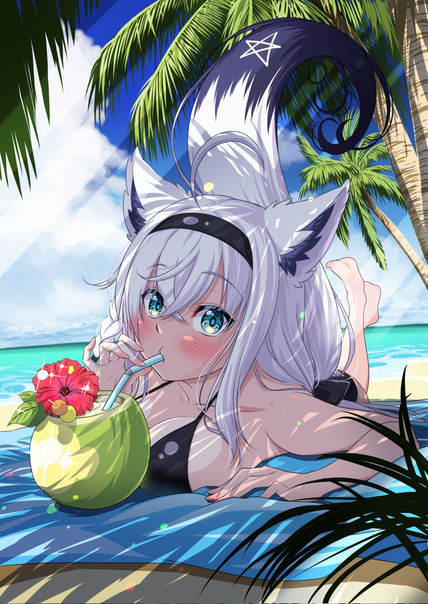 1girl ahoge animal_ear_fluff animal_ears beach bikini black_bikini black_hair black_hairband blanket blush bow braid breasts cloud cloudy_sky commentary_request day drinking drinking_straw fox_ears fox_girl fox_tail green_eyes hair_between_eyes hair_bow hairband highres hololive large_breasts long_hair looking_at_viewer lying ocean on_stomach outdoors palm_tree pentagram shirakami_fubuki sidelocks single_braid sky solo swimsuit tail tree virtual_youtuber white_hair yokojima_kemomi_mi_chuushin