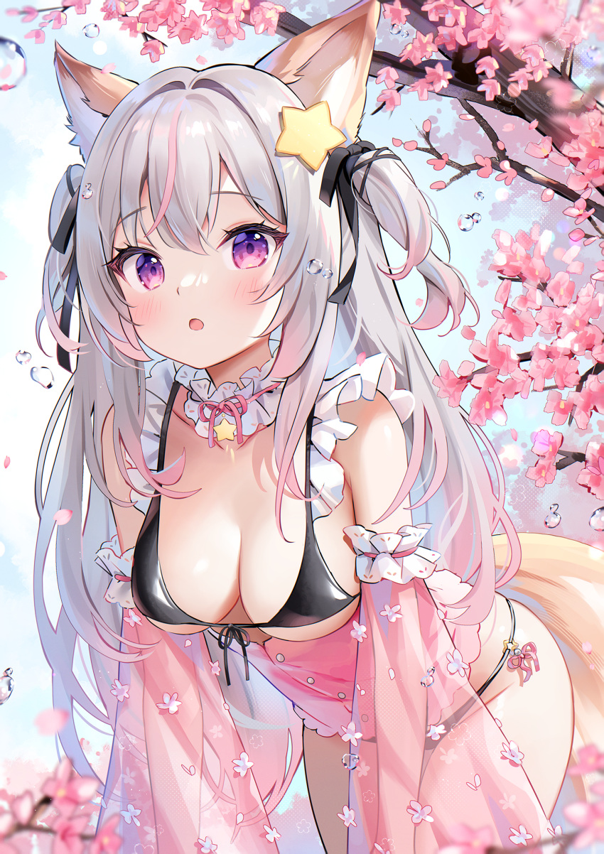 1girl :o animal_ears annytf bare_shoulders bikini black_bikini branch breasts cherry_blossoms choker cleavage cowboy_shot detached_sleeves fox_ears fox_girl fox_tail frilled_bikini frilled_choker frills front-tie_bikini_top front-tie_top gradient_eyes gradient_hair hair_ornament hair_ribbon highres indie_virtual_youtuber leaning_forward long_hair looking_at_viewer medium_breasts multicolored_eyes multicolored_hair nami_(nyaa) open_mouth pink_eyes purple_eyes ribbon see-through see-through_sleeves solo standing star_(symbol) star_hair_ornament streaked_hair string_bikini swimsuit tail thighs two_side_up very_long_hair virtual_youtuber white_hair