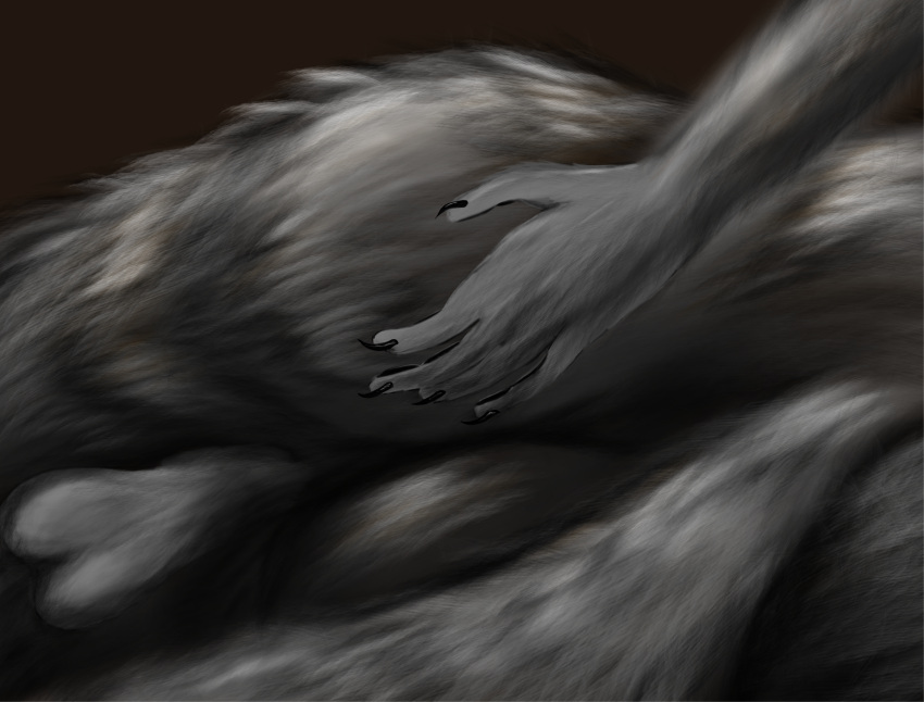 absurd_res anthro balls butt butt_focus canid canine canis clawed_fingers claws felstead fingerpads fur genitals grey_body grey_fur hand_on_butt hi_res male mammal pawpads simple_background solo tail wolf
